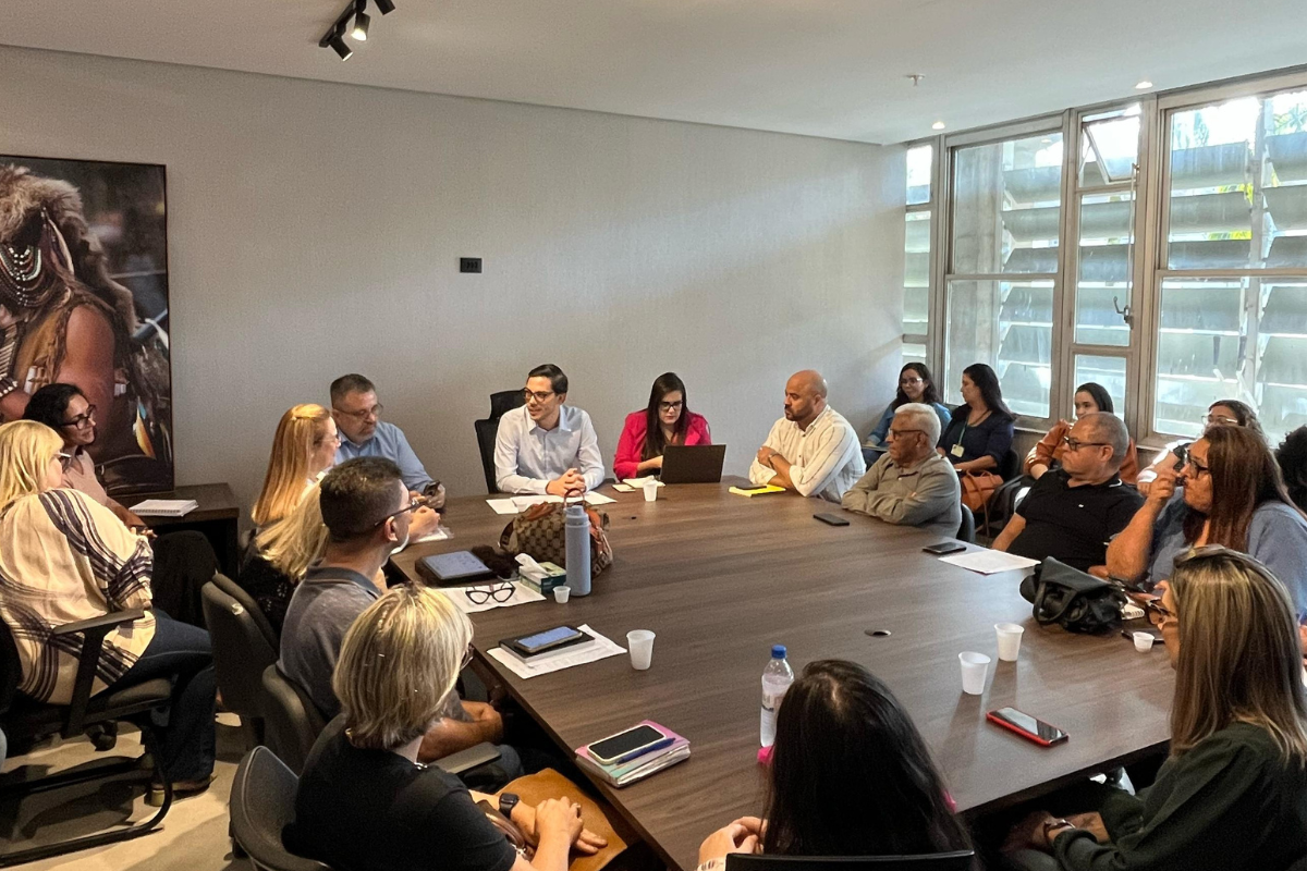 CEV que trata da criação de comissão multissetorial reúne representantes da Educação e da Saúde