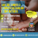 Câmara promove debate sobre procedimentos para adoção no Brasil 