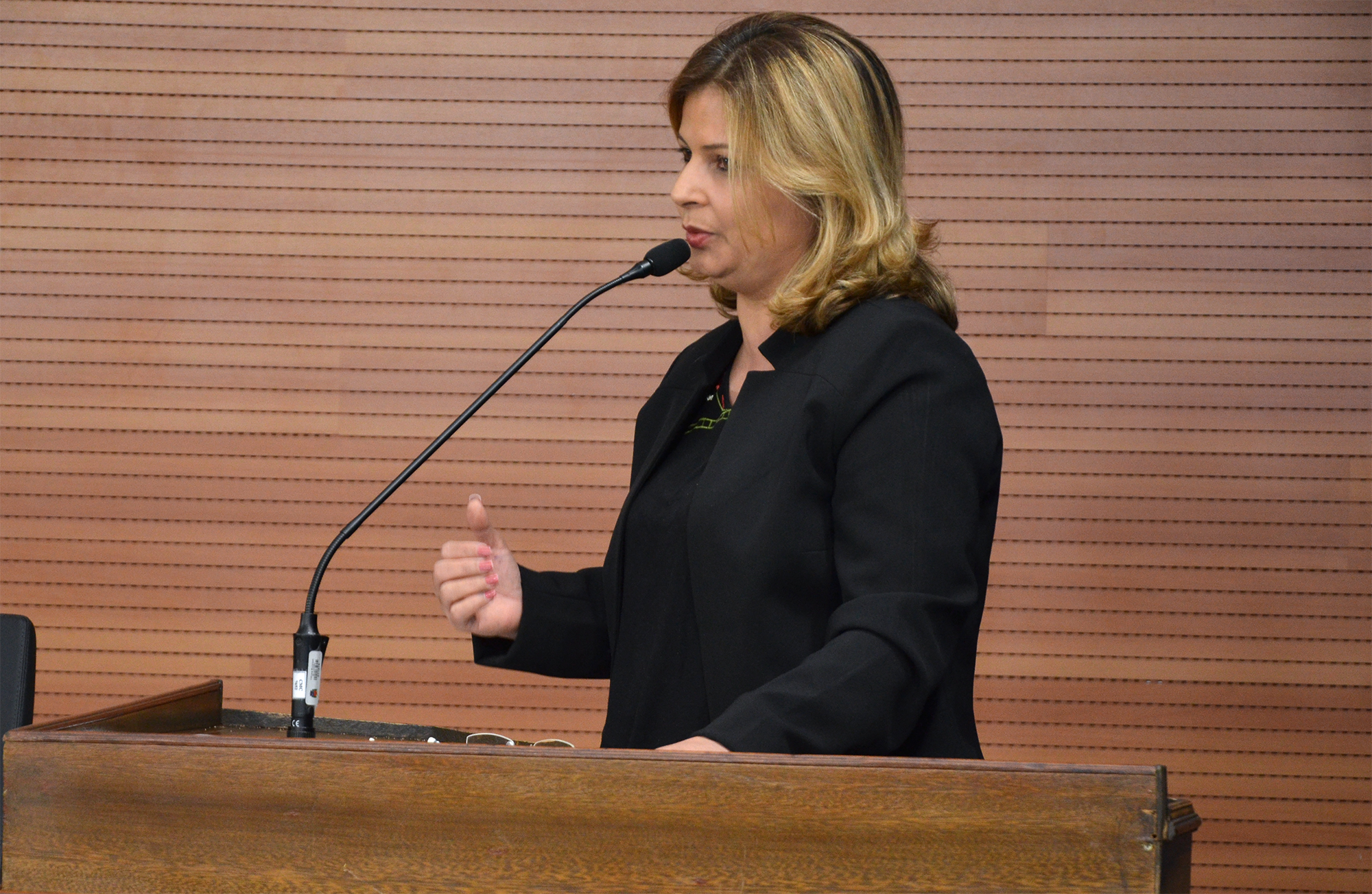  Érika Verçosa solicita ações para acabar com a demora na realização de exames