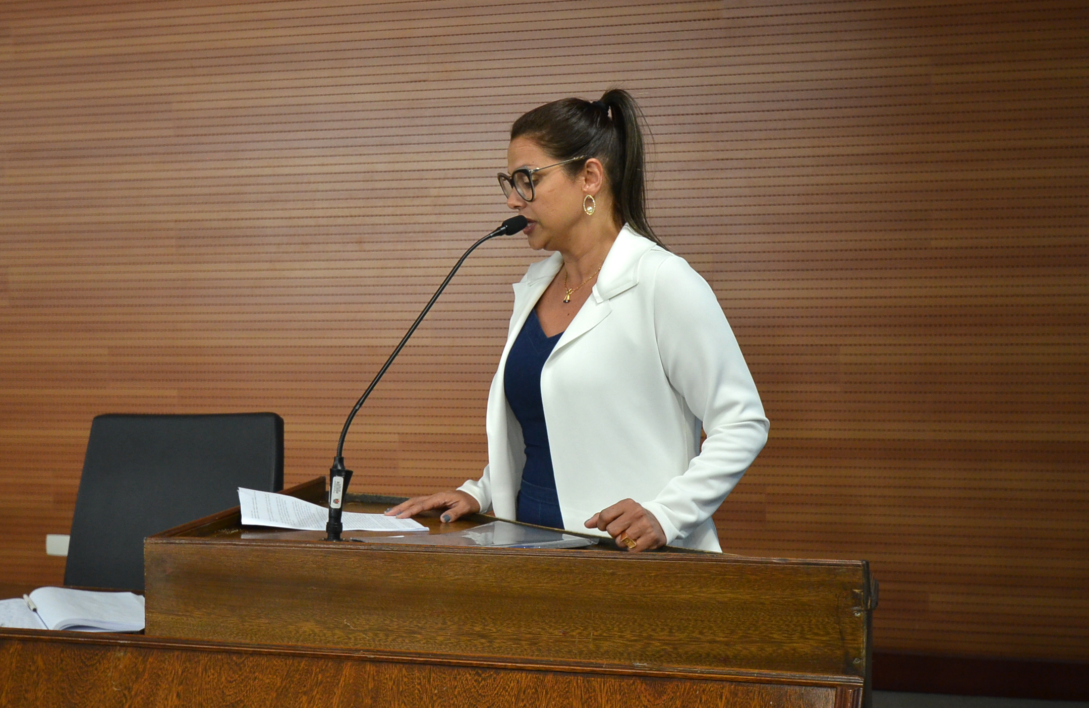 Conselho da Condição Feminina cobra políticas públicas para mulheres 